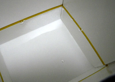 20110730_04.jpg