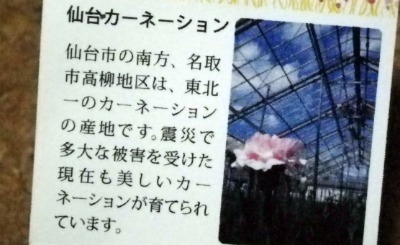 20111112_07.jpg